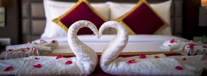 1492/Velvet Clarks Exotica - Zirakpur 12.jpg